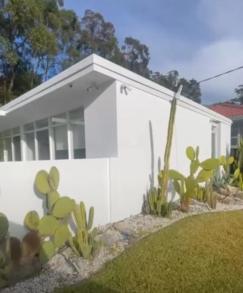 White rendered wall of a single-storey home behind a cactus garden
